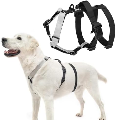 PUPTECK Escape Proof Dog Harness - No Pull Soft Padded Full Body ...