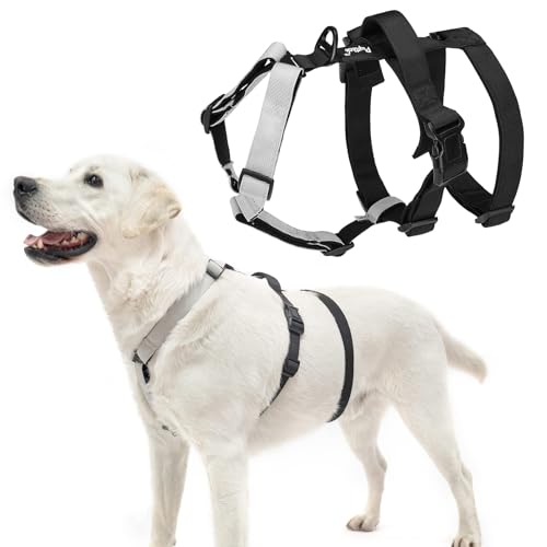 PUPTECK Escape Proof Dog Harness - No Pull Soft Padded Full Body ...