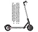 Coolnamic | Modèle Hola | Autocollants pour Trottinette électrique | vinyles décoratifs Patinettes | Compatibles avec Xiaomi M365, Pro, Essential, 1S, PRO. | Imperméables