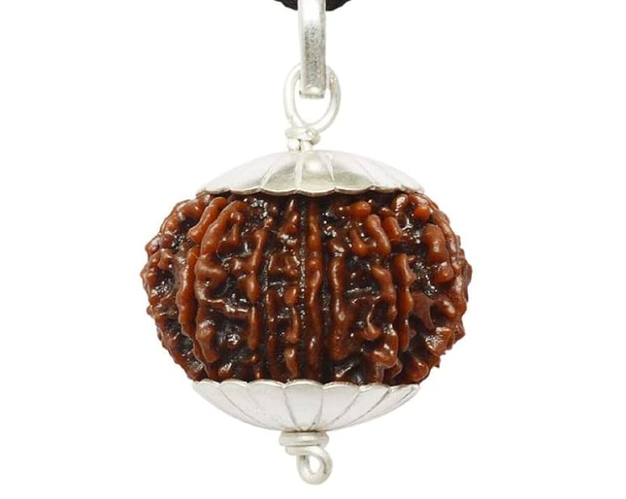 Amazon.co.jp: 認定宝石 13 ムキ ネパール ルドラークシャ