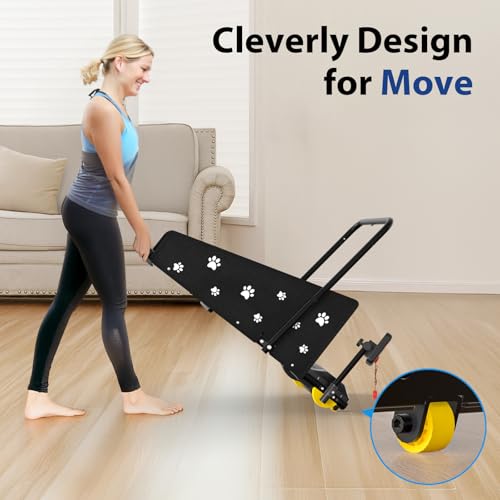 Dog Running on CIIHI Treadmill