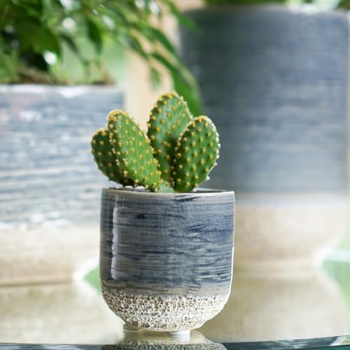 Ivyline Maceta, Cerámica, Denim, 11 x 10 cm