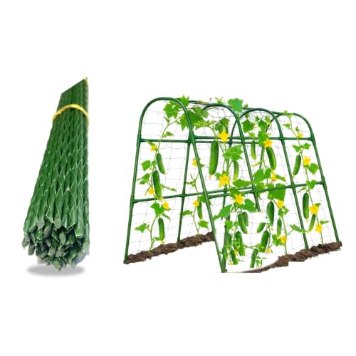 Galen Panamerica Eco-Friendly Cucumber Trellis for Raised Beds, Tomato Stakes,