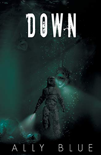 Down view 2