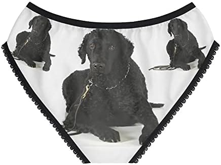 DogsMakeMeHappy Labrador Panties, Labrador Underwear, Briefs, Cotton Briefs, Funny Underwear, Panties For Women