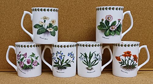 Botanic Flowers Mugs Set of 6 Fine Bone China Topaz 9.5oz 275 ml Cups Hand Decorated UK