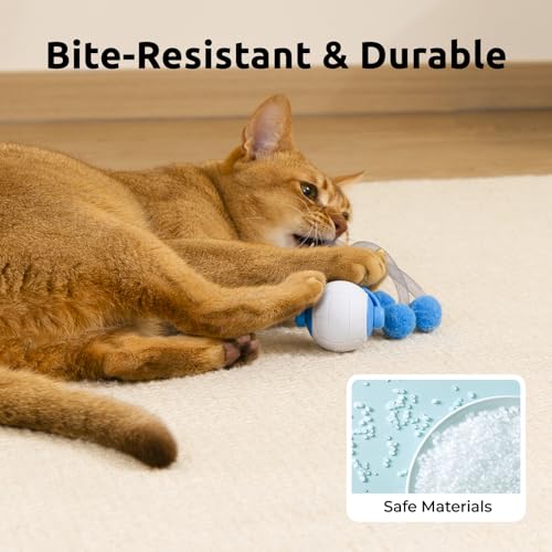 TENECUTE Cat Toys for Indoor Cats, Interactive Cat Toy Ball with Pom-Pom Tails, Automatic Cat Toy Self Play Exercise Toy to Relieve Boredom for Kitten & Adult Cats (Blue) — view 4