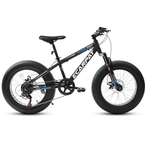 Ecarpat 20 Inch Fat Tire Mountain Bike,Dual Disc Brakes Suspension Fork, 7-Speed Boys Girls Mountain Bikes, All Terrain Kids Mountain Bikes for Boys and Girls 7-15 Years Old
