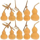 LUOZZY 10Pcs Natural Gourd Shape Gourds Dried for Crafts Natural Dried Gourd Ornament for DIY Crafts Home Office Desktop Decoration