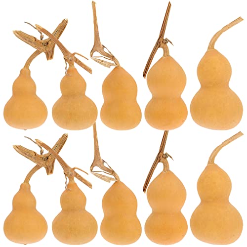 LUOZZY 10Pcs Natural Gourd Shape Gourds Dried for Crafts Natural Dried Gourd Ornament for DIY Crafts Home Office Desktop Decoration