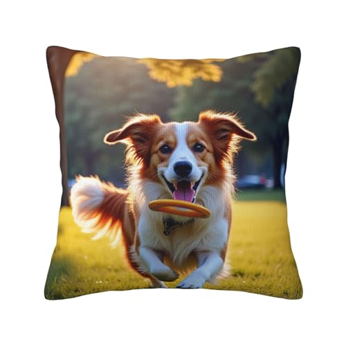 Adult Dog Playing with in Park at Sunset Farmhouse Pillowcases,Soft Outdoor Pillowcases for Sof Bed, Bedroom, Car Seat, Living Room, Home Decor 18X18 Inch