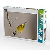 Puzzles sind unterhaltend, fördern Wohlbefinden und stimulieren beide Hälften des Gehirns. Das kann die mentale Leistungsfähigkeit sowie Konzentration und Gedächtnis fördern