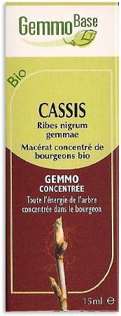 Black Current - Herbal Gem (Small)