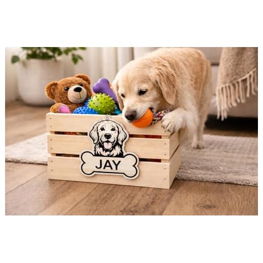 Personalized Wooden Dog Toy Storage