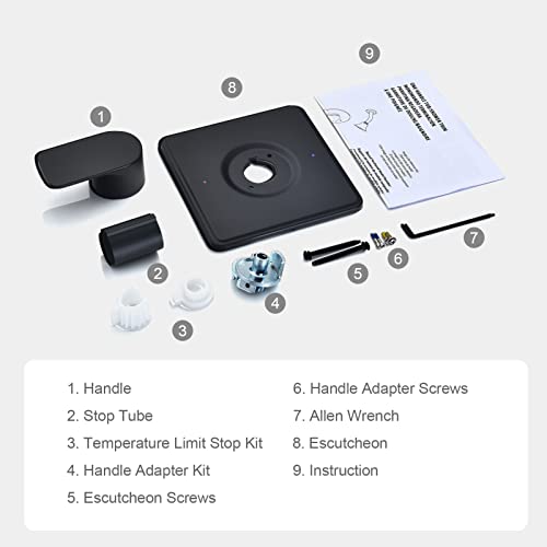 Kit garniture de douche Moen Posi-Temp en acier noir mat durable
