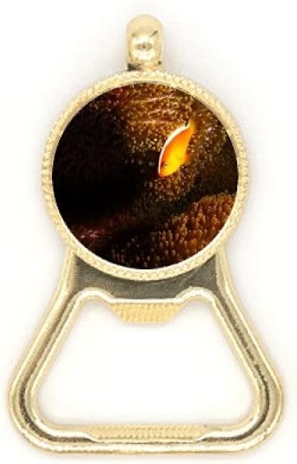 オーシャン アネモネ フィッシュ サイエンス ネイチャー ビール ボトル キャップ オープナー ステンレススチール キーチェーン