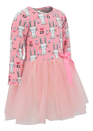 Image of Girls Long Sleeve Tulle Tutu Dresses for Kid and Toddler