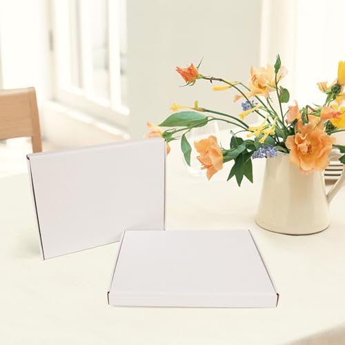 Image of HORLIMER 12x9x1 inches Shipping Boxes Set of 25, White Corrugated Cardboard Box Literature Mailer