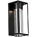 Eglo Lighting 204704A Walker Hill - 12 Inch 8W 1 LED Outdoor Wall Sconce, Matte Black Finish with Clear Seedy Glass
