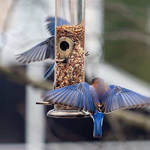 Kingsyard Metal Bird Feeders For Outside, Hanging Extra Thick Tube Bird Feeder W/Steel Hanger & 4-Port, 15 Inch, Chew-Proof, Weather And Water Resistant, Brushed Bronze #TOP6