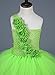 Tutu Dreams Baby Girls Green Fairy Princess Costumes Set Flower Sash Light Green Tutus Birthday Party (S, Lime green)