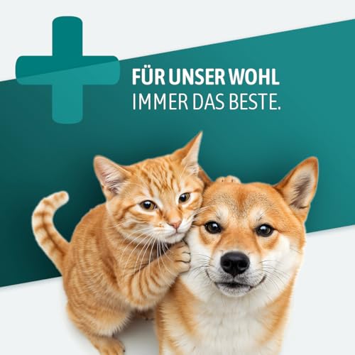 AniGo Ulmenrinde Extra – ohne Aufkochen für Hunde & Katzen – bei Neigung zu Durchfall – unterstützt den natürlichen Schutzfilm im Magen-Darm I Stark schleimend & naturrein I Slippery Elm Bark