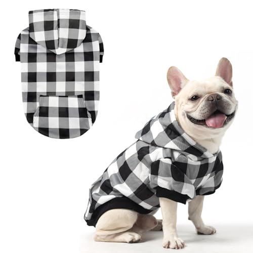 KOOLTAIL iq  p[J[ ybg  Z[^[ Xqƃ|Pbgt ^ M LTCY p \tg ~ g  h R[g t[X H  t[ht XEFbgVc q Lp zCg SM