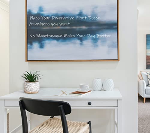 Cadnly Small Fake Plants In Pot - Artificial Succulents Plant For Desk - Small Faux Plants Indoor Modern Farmhouse Plants Artificial Decor – Potted Small Plants Decor For Bedroom Bathroom Office Shelf #TOP3