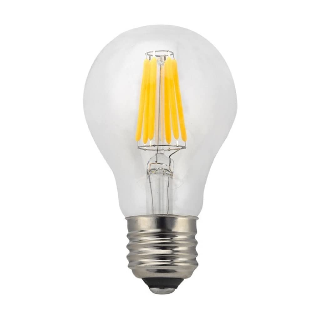 RZL Iluminación, Paquete de 10, bombillas LED de filamento E27, 6 W, CA 85~265 V, 6 bombillas de filamento, bombillas Edison vintage(Cold white)
