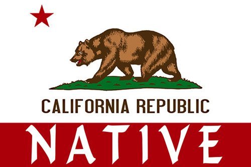 California Flag Native Sticker (Bear State Decal)