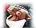 Frog guiro wood block musical instrument Percussion Musical Instrument Perfect size Natural Wood Güiro Frog. (5.5 inches-14.0 cm.)