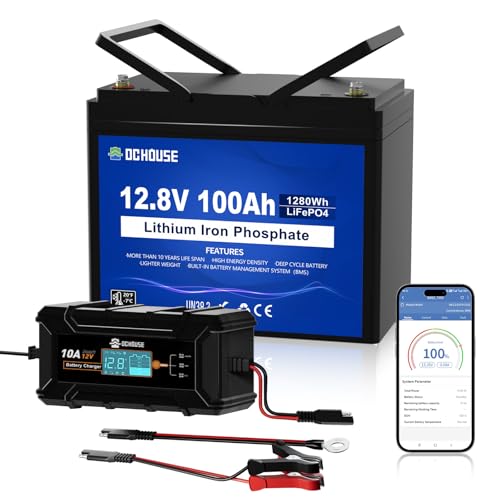 DCHOUSE 12V 100Ah LiFePO4 Bluetooth Batterie avec Chargeur 10A, jusqu'à 15000 Cycles Profonds pour Moteurs de tracteurs, Camping-Cars, Stockage d'énergie,...