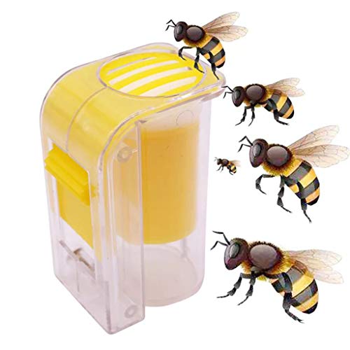 Conjunto de ferramentas de apicultor de esterose, copos de células, sistema de criação de rainha e a