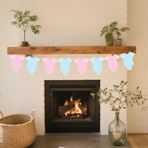 Image of Pre-Strung Blue & Pink Gingham Bodysuit Baby Shower Banner - 8 Double-Sided Onesie Cards- Cute Baby Onesie Decorations for Gender Reveal Party, Baby Shower Decor, Baby Reveal Banner - Gender Reveal Ideas & Decor