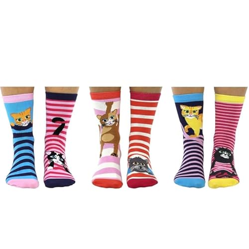 United Oddsocks - Feline Good - Box of 6 Oddly Socks Ladies - US 6.5-10.5