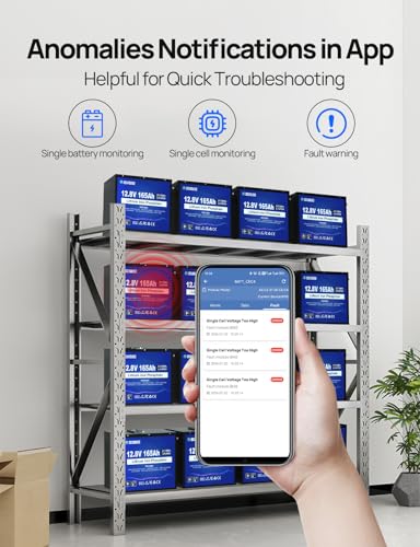 DCHOUSE 12V 165Ah LiFePO4 Lithium Batterie mit Bluetooth,Tieftemperaturschutz,Deep CycleLithiumbatterie, perfekt für Wohnmobile,Solaranlagen,Wohnwagen,Camping