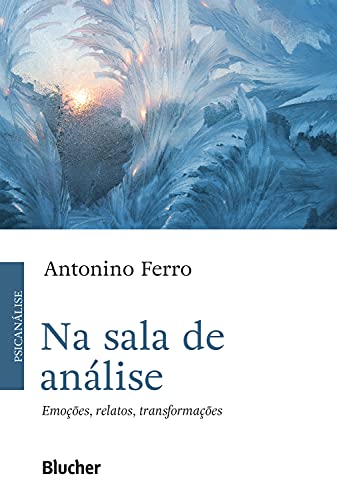 Na sala de análise: Emoções, relatos, transformações