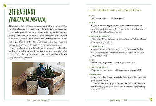 How to Houseplant: A Beginner's Guide to Making and Keeping Plant Friends - Image 7