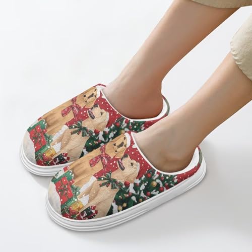 Slippers for Women Indoor and Outdoor Comfortable Plush Fluffy Cotton House Slippers Winter Shoes for Women3