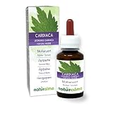 Cardiaca (Leonurus cardiaca) erba con fiori Tintura Madre analcoolica Naturalma - Estratto liquido gocce 60 ml - Integratore alimentare - Vegano