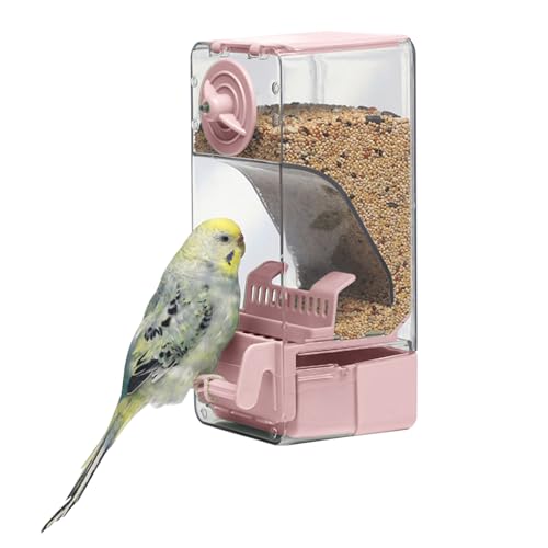 Comedero automático para pájaros, comedero para Jaula de pájaros con Percha para Periquito, Canario, cacatúa, pinzón (Rosa)