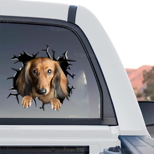 Image of Cute Dog Stickers for Car Window Decals Waterproof Funny Sticker (Dachshund Stickers)