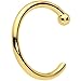 Body Candy Tiny Nose Ring Hoop 20 Gauge 1/4