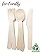 Disposable Wooden Cutlery by ECOTION | Party Set | Eco-Friendly | Biodegradable | 100% All-Natural | Disposable Utensils | Show Your ECOTION! | Set of 200 | 100 Forks, 50 Spoons, 50 Knives