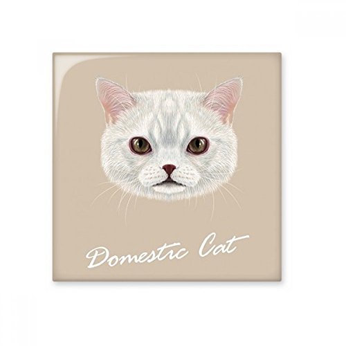 Carreau céramique chat blanc : carrelage mural moyen