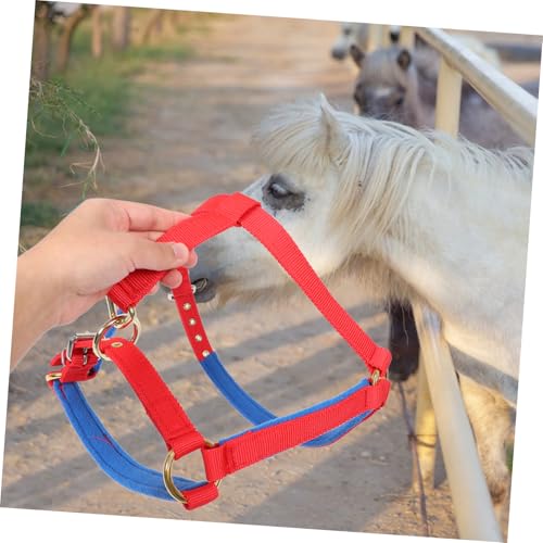 Mors horse gear SUPVOX : la solution ajustable contre l'inconfort du cheval