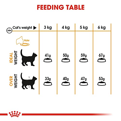 Royal Canin Hair and Skin 33 Katzenfutter, 10 kg- Katzenfutter