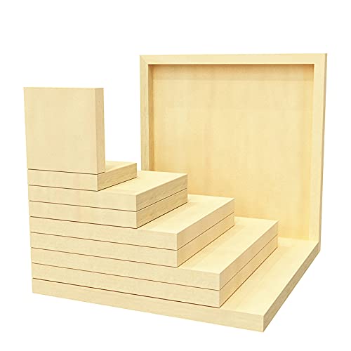 Buy Worown 10 Pcs 5 Sizes (4, 6, 8 ,10 & 12 Inch) Wood Panels, Canvas