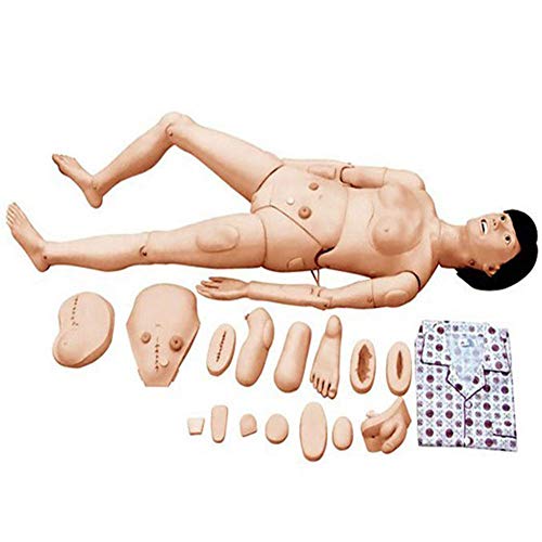 Mannequin de formation médicale pour l'enseignement des soins infirmiers - Modèle en PVC pour les soins aux patients et l'apprentissage didactique en école d'infirmières