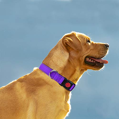 Taglory Reflective Dog Collar With Safety Locking Buckle, Adjustable Nylon Pet Collars For Medium Dogs Female Male, Purple, M #TOP1